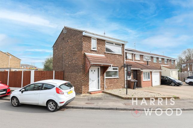 Thumbnail Semi-detached house to rent in Foxglove Way, Chelmsford, Essex
