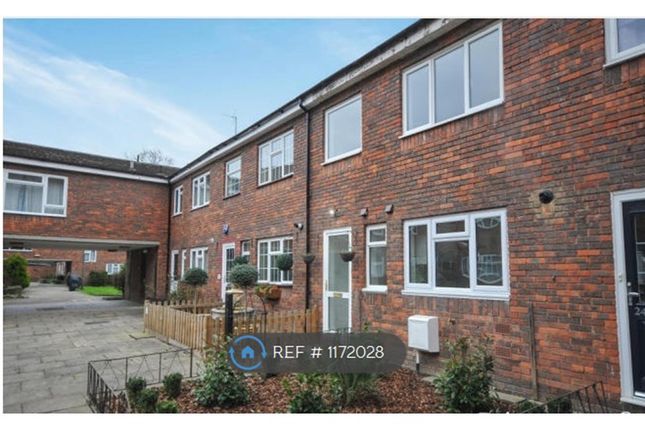 Thumbnail Terraced house to rent in Ravensbourne Avenue, Bromley