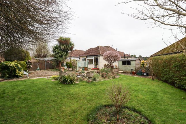 Semi-detached bungalow for sale in Downlands Close, Bexhill-On-Sea