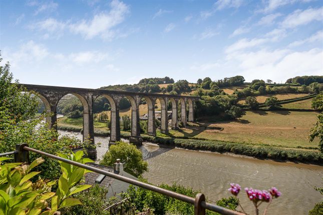 Prospect House, Higher Kelly, Calstock photo 4