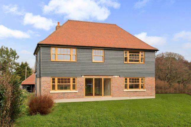Detached house to rent in Maddoxford Lane, Boorley Green, Southampton
