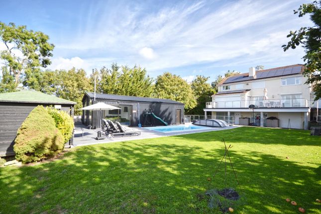 Pool/Bar/Entertainmnet