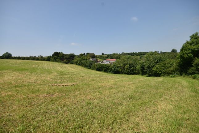Ffynnonwen, Coedybryn, Llandysul photo 4
