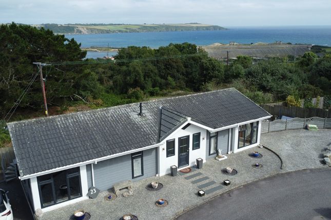 Plot View
