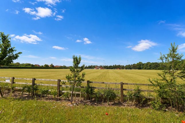 6, Watson Dene, Pocklington photo 4