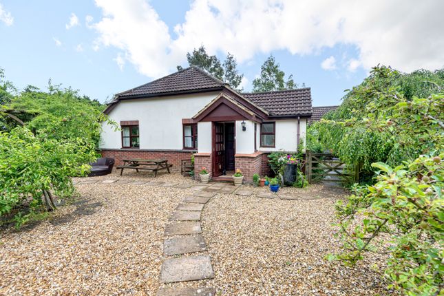 Thumbnail Bungalow for sale in Calne, Wiltshire