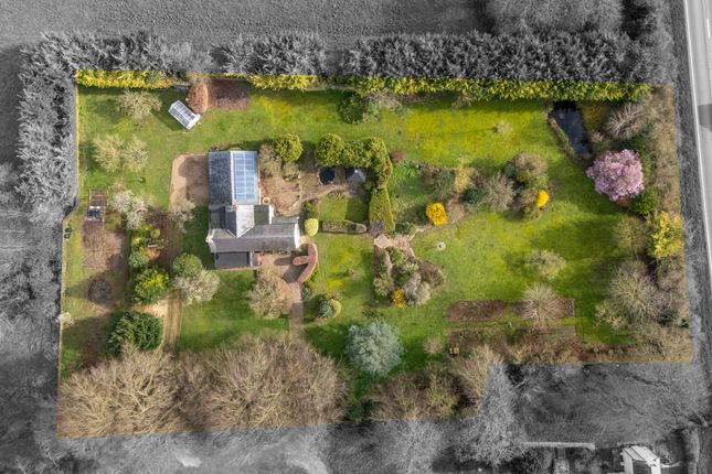 Meadowside, Royston photo 3