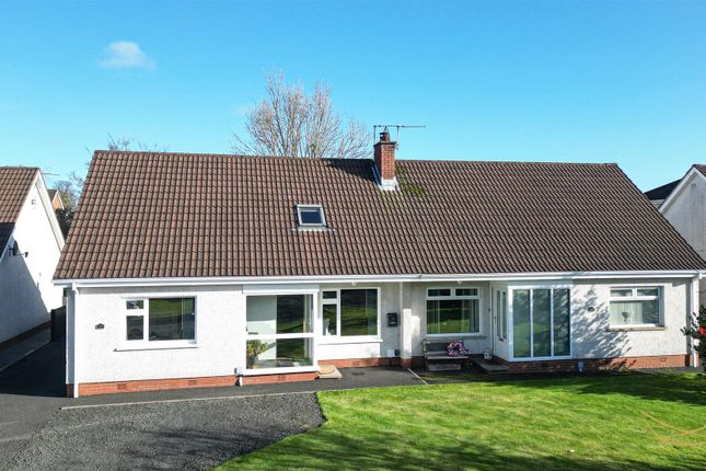 55, Beech Green, Ballyclare photo 2