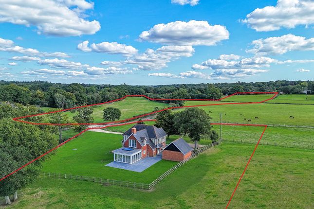 Thumbnail Equestrian property for sale in Forest Road, Burley, Ringwood