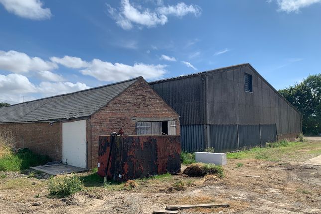 Long Beach Farm , Thurlands Drove, Upwell photo 4