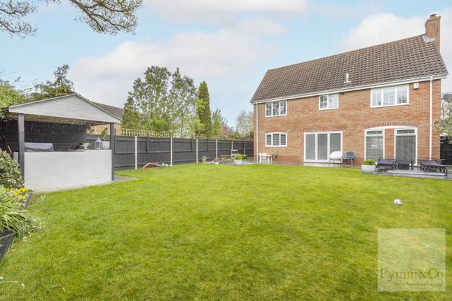 Detached house to rent in Greenacres, Little Melton