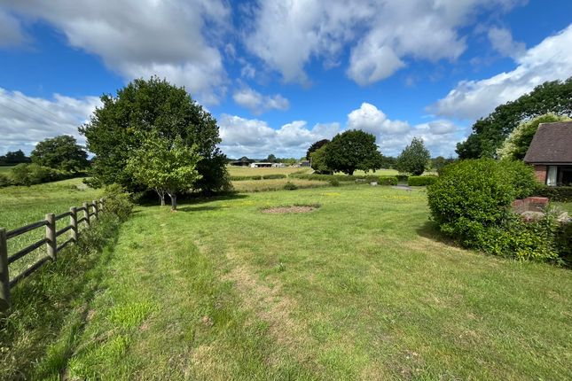 Hedgerows, Hawford Lock Lane, Worcester photo 4