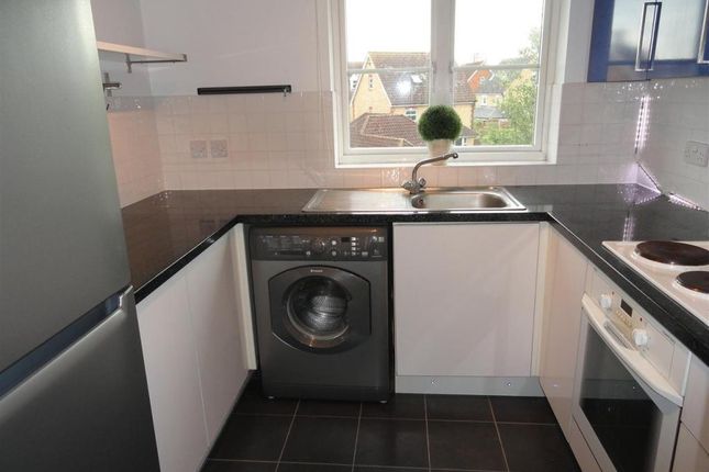 70, Chelmsford photo 2
