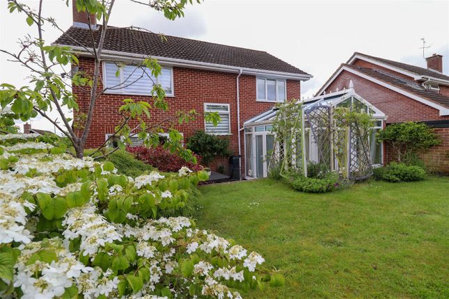 Detached house for sale in Down Gate, Alresford