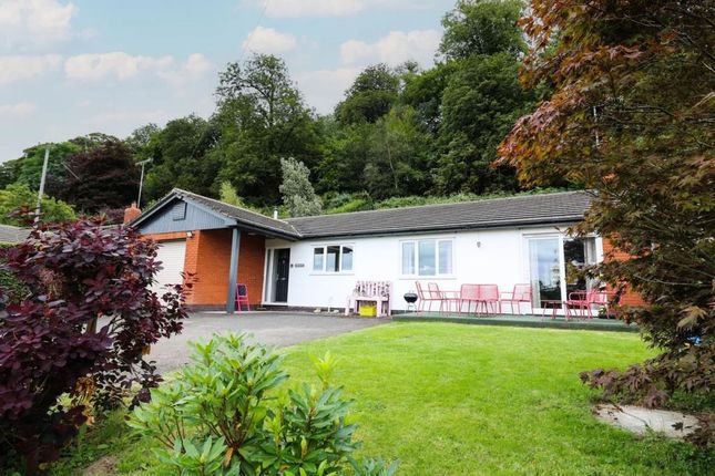 Detached bungalow for sale in Old Radnor, Powys