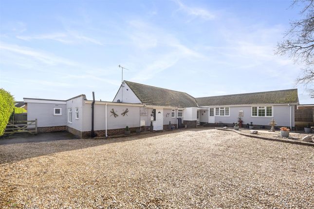 Thumbnail Detached bungalow for sale in Tyne Close, Worthing