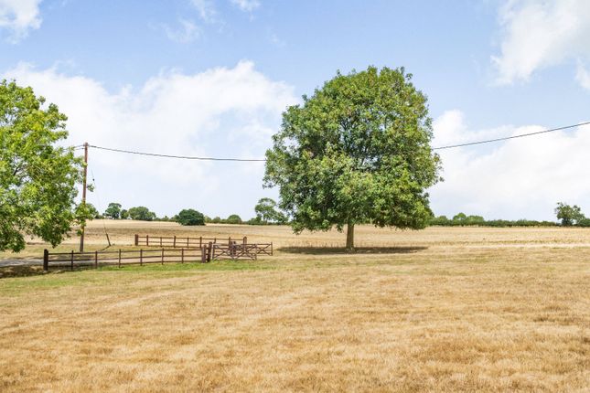 Land for sale in Tawney Lane, Stapleford Tawney, Romford, Essex