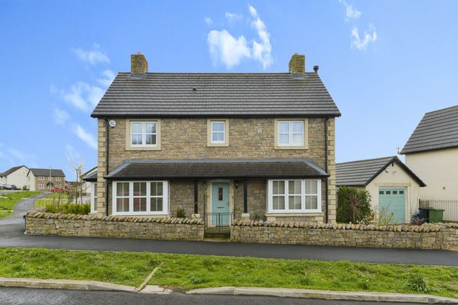 Thumbnail Detached house for sale in Kendal Parks Road, Kendal