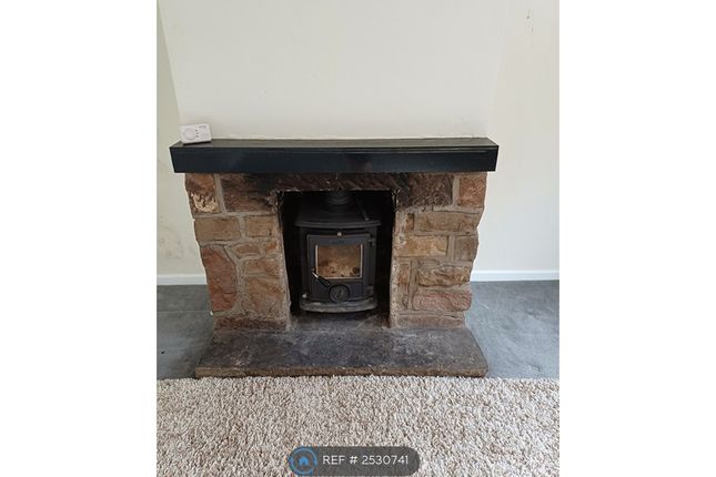 Log Burner