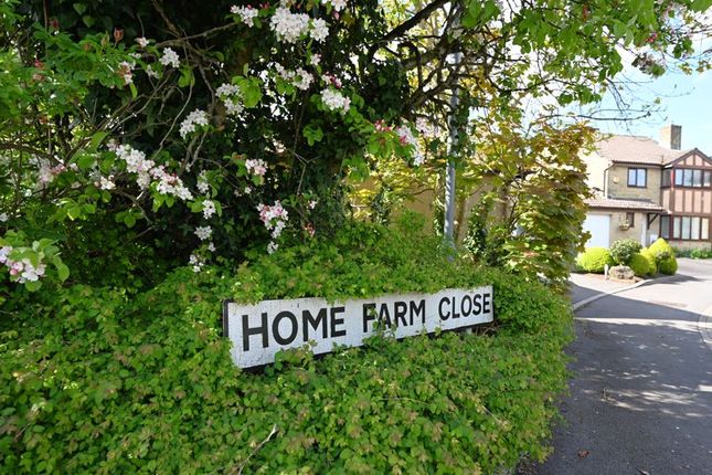 Detached house for sale in Home Farm Close, Peasedown St. John, Bath