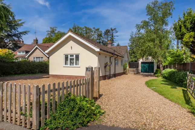 19, Pineheath Road, Holt photo 2