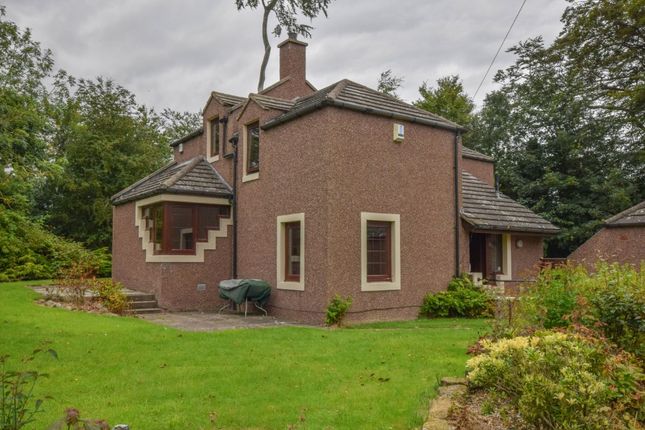 Thumbnail Detached house to rent in Arbirlot, Arbroath, Angus