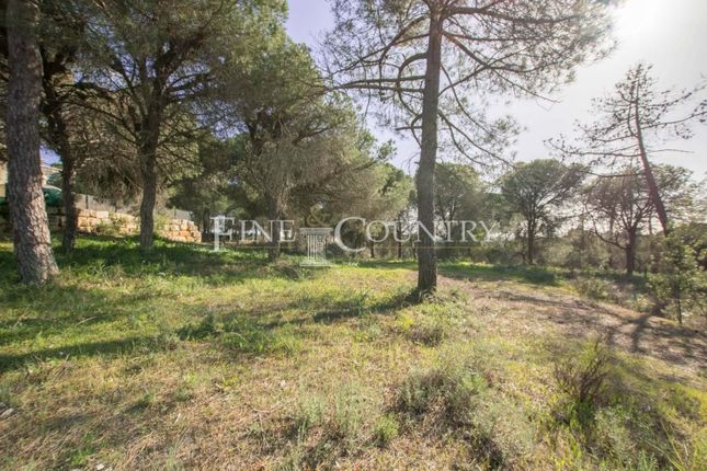 Land for sale in Loulé, Portugal