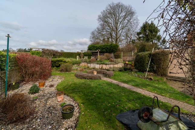 Briar Cottage, 38, Brook Street, Colchester photo 4