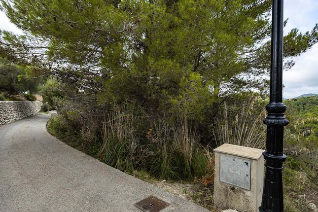 Land for sale in Spain, Mallorca, Puigpunyent, Galilea