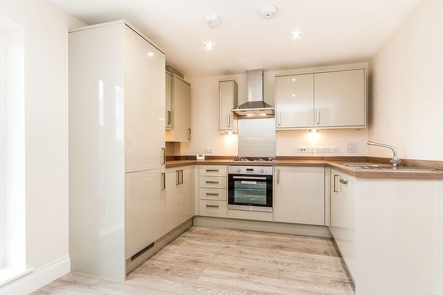 Kitchen / Dining