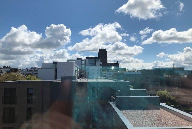 View From Living Room.Jpg