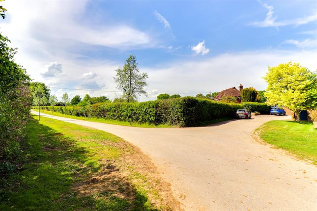 Driveway 1.1.Jpg