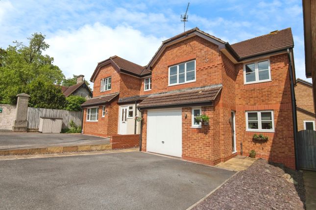 Thumbnail Detached house for sale in Old Bystock Drive, Exmouth, East Devon