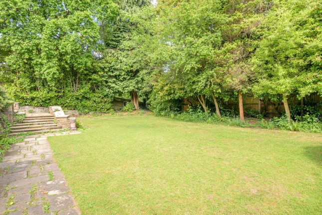 Rear Gardens 4