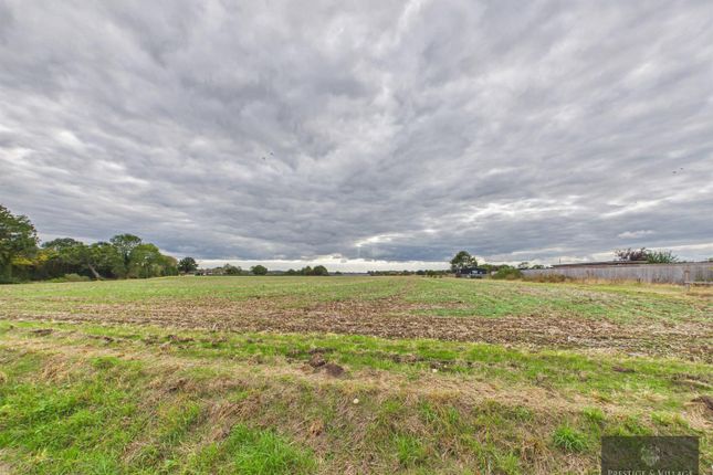 Carinya, Ardley End, Bishop's Stortford photo 3