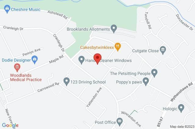 Google Maps Image