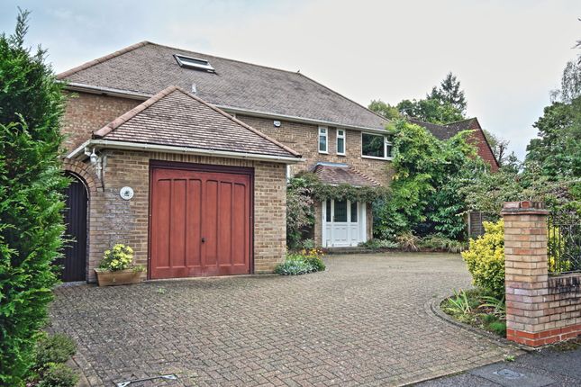 Thumbnail Detached house to rent in St. Catherines, Woking