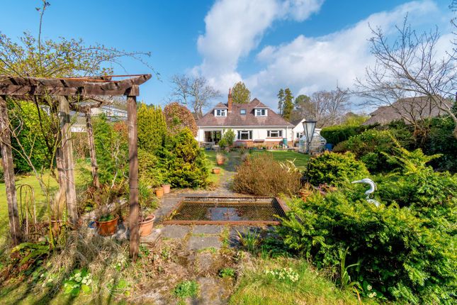 2, Crescent Walk, Ferndown photo 2