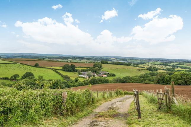Cleave Farm, Chittlehampton, Umberleigh photo 3