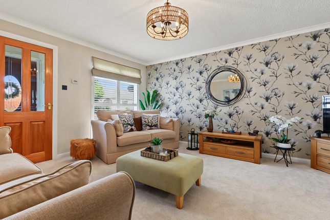 6 Dovehill, Alloa photo 5