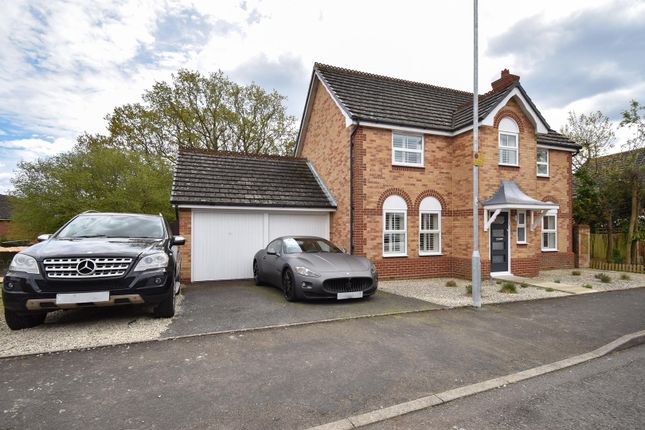 Thumbnail Detached house for sale in Hare Way, St. Leonards-On-Sea