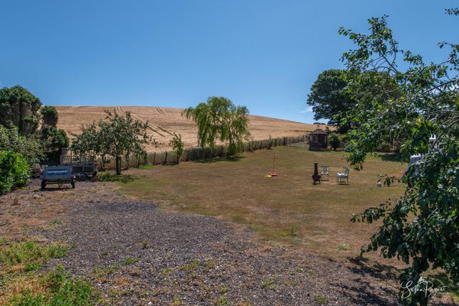 Paddock (Available By Separate Negotiation)