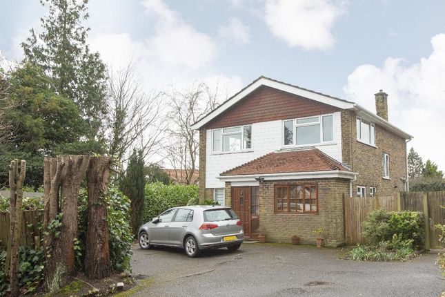 Thumbnail Detached house to rent in Ghyll Road, Heathfield, East Sussex
