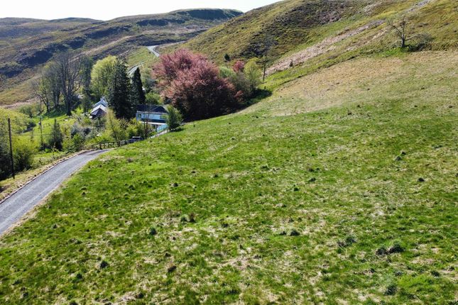 Tynllechwedd, Aberystwyth photo 3