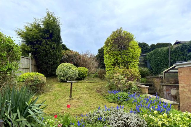 24, Murren Avenue, Malvern photo 3