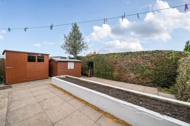 1364779-4-68ee8Ff...