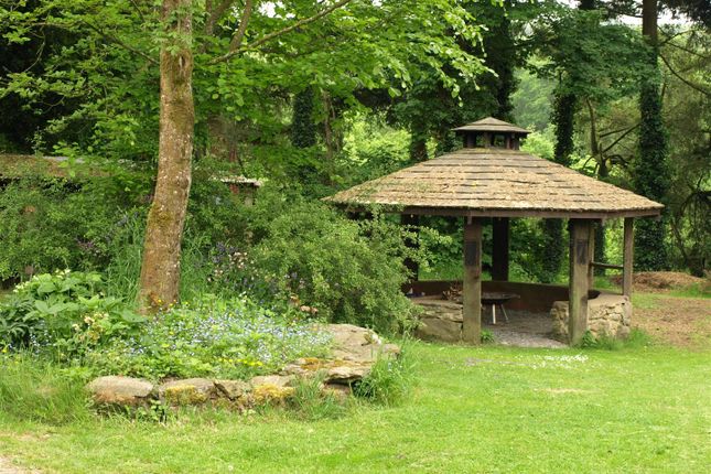 Covered Firepit (Owner Picture)