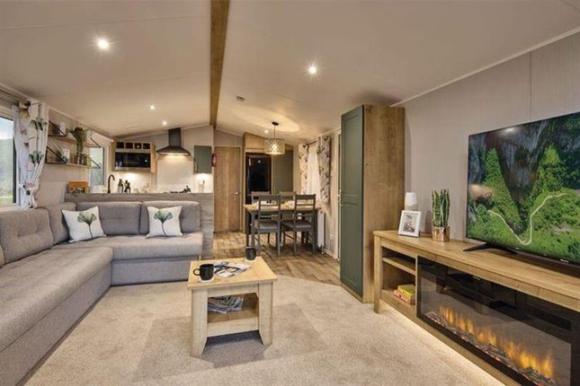 White Rose - Willerby-Sierra-85995