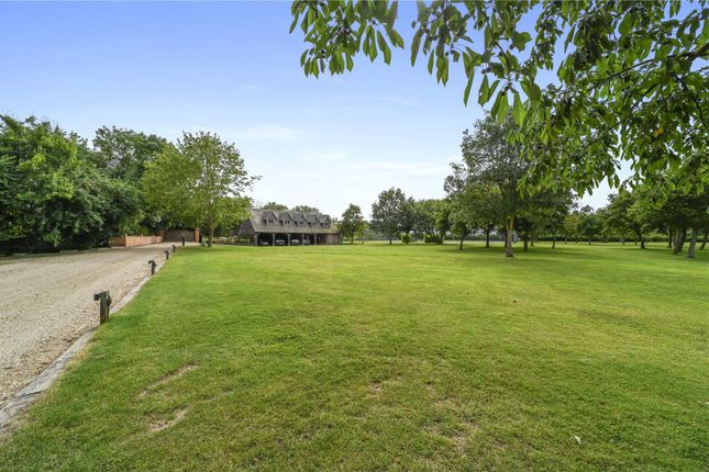 Grounds