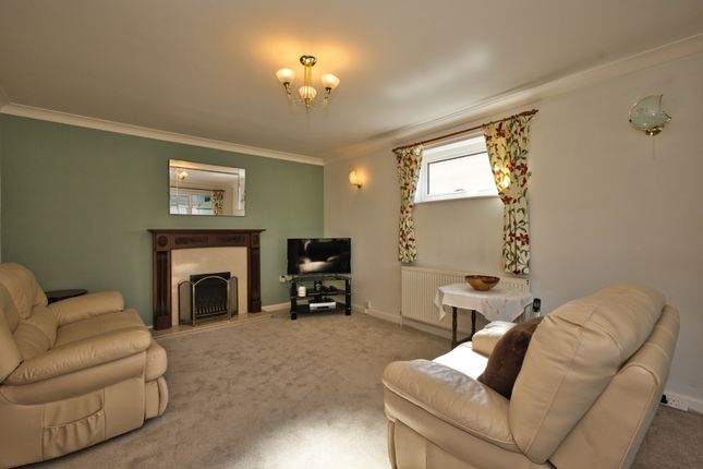Tree Tops, Broadshard, Crewkerne photo 4